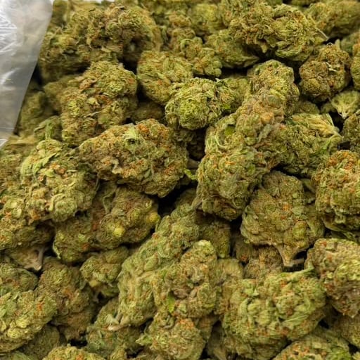 Shining Silver Haze bulk THCA flower — Plain Jane 1 lb