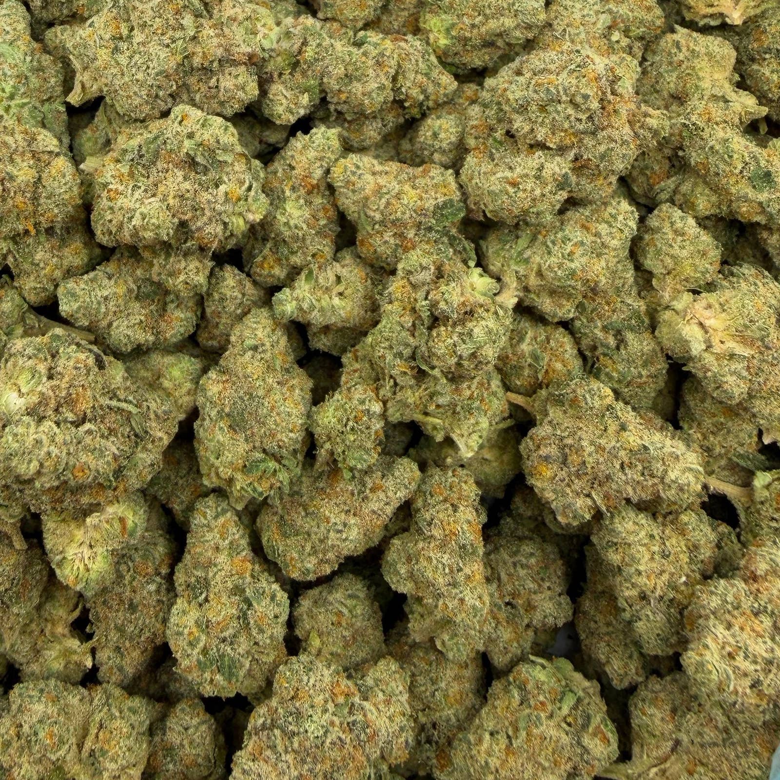 Silent Hit bulk THCA flower — Plain Jane 1 lb
