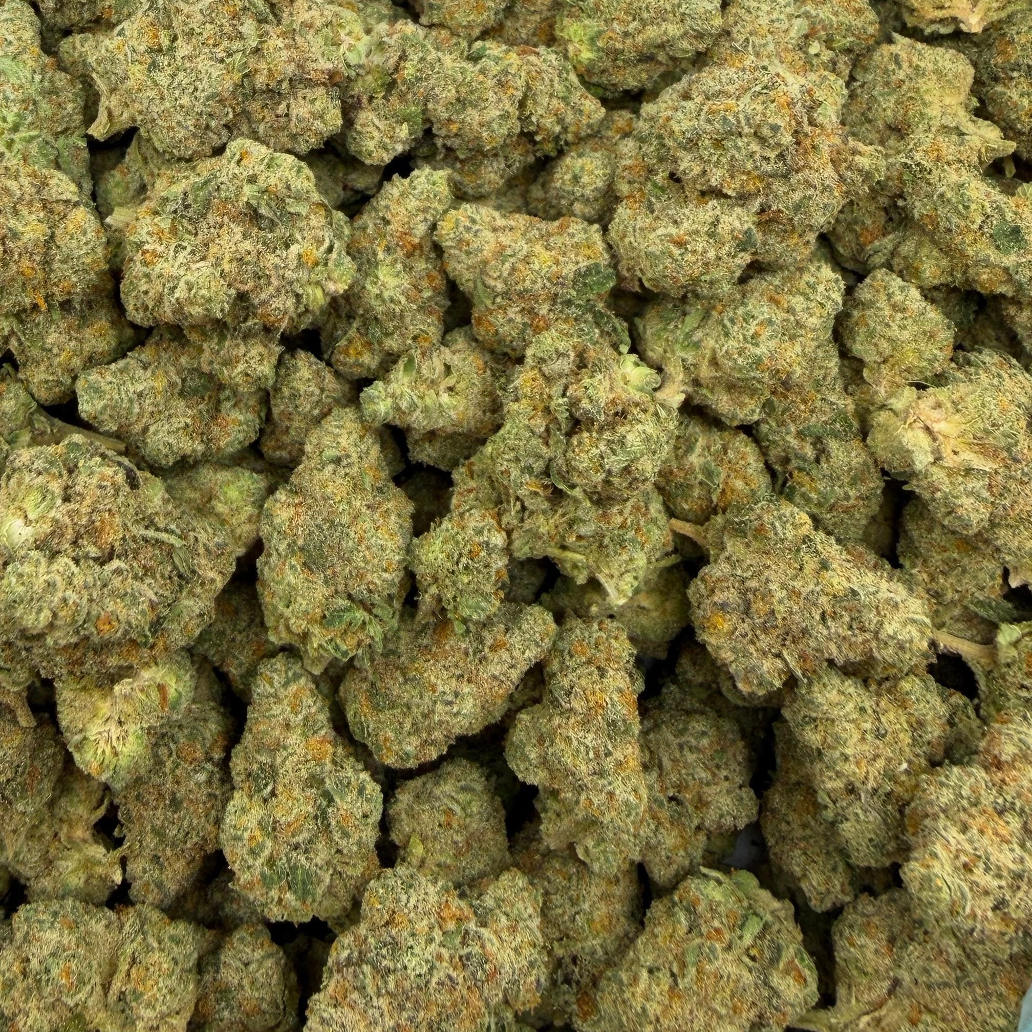 Silent Hit bulk THCA flower — Plain Jane 1 lb
