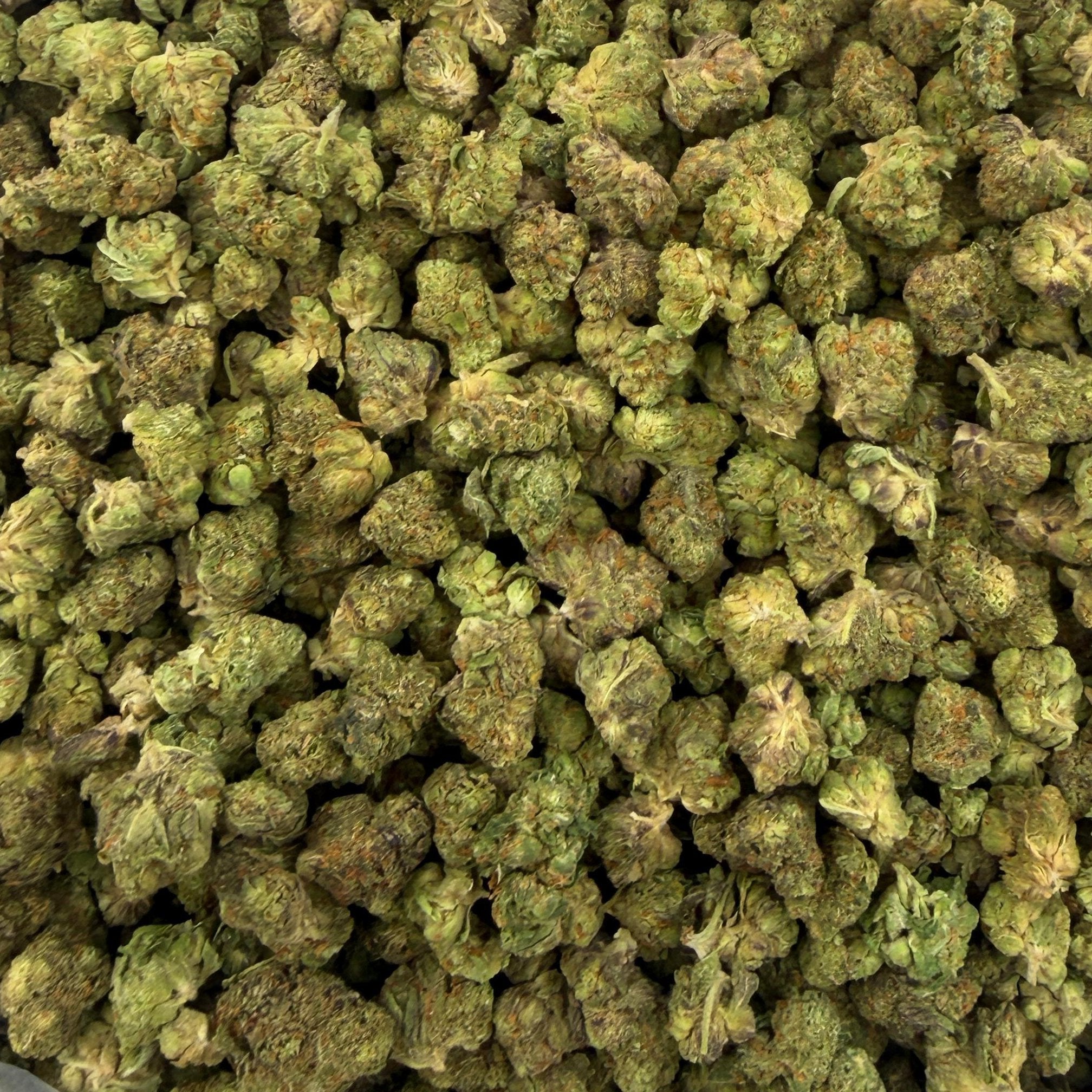 Silent Hit bulk THCA flower — Plain Jane 1 lb