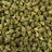 Silent Hit bulk THCA flower — Plain Jane 1 lb