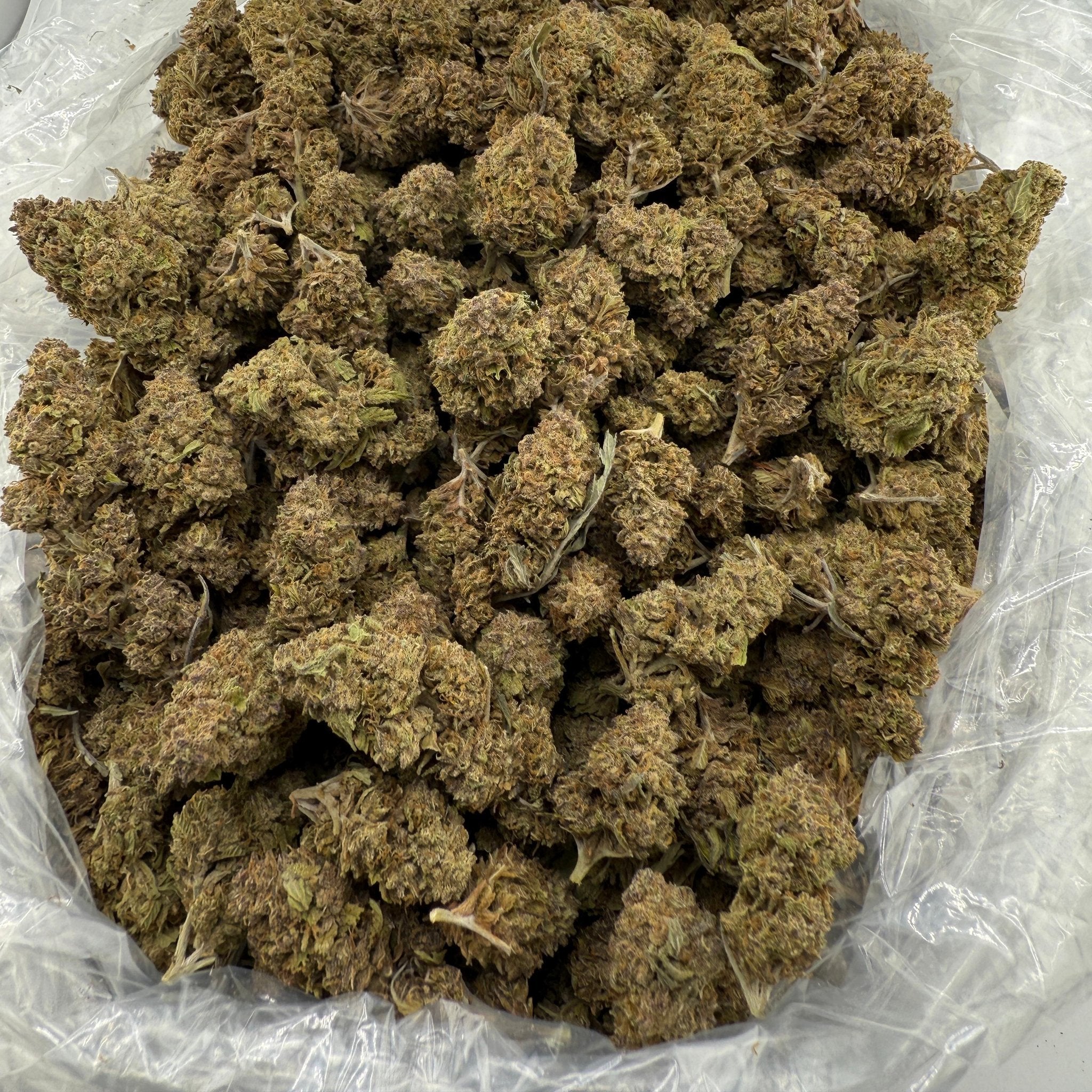 Skywalker bulk THCA flower — Plain Jane 1 lb