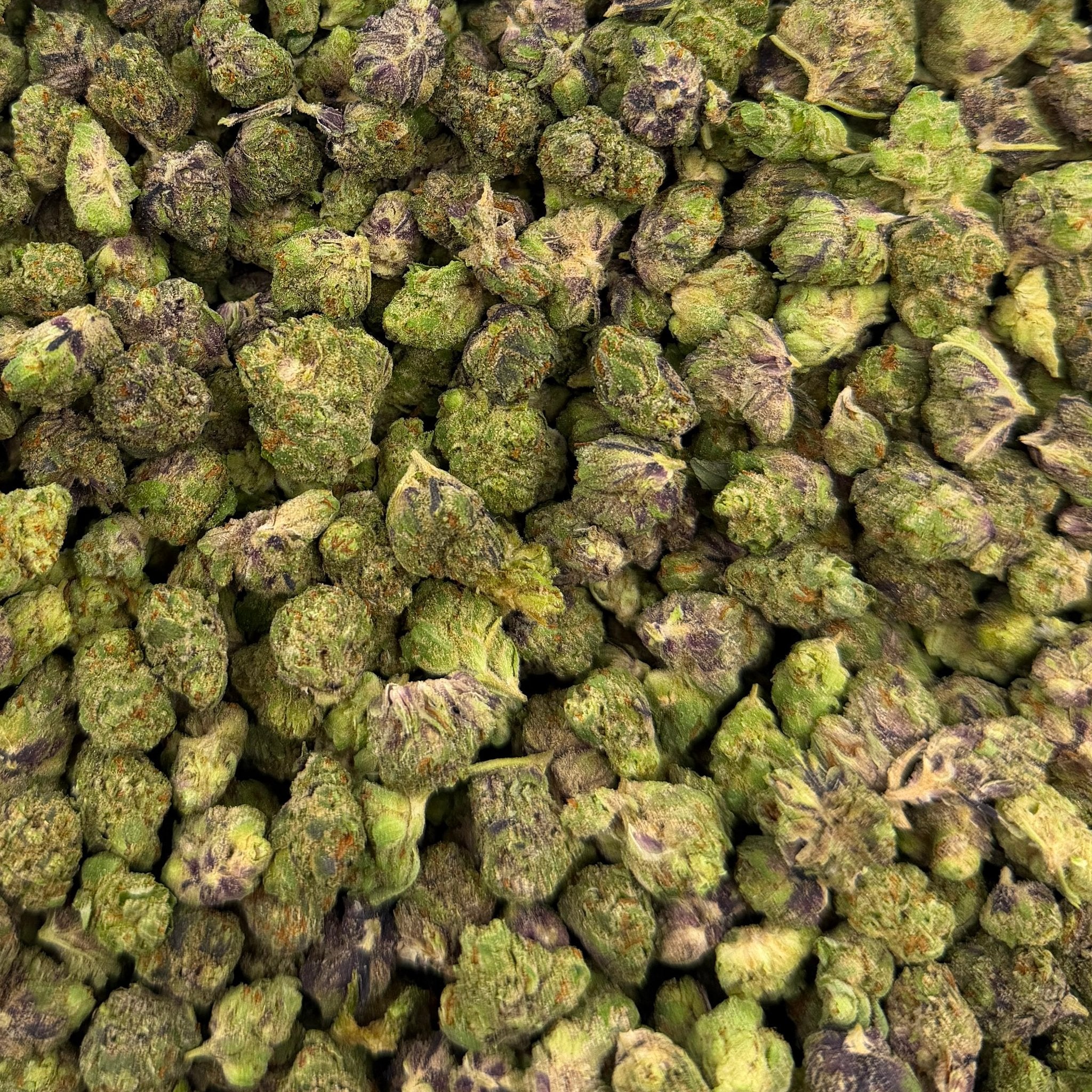 Slapz bulk THCA flower — Plain Jane 1 lb