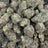 Slapz bulk THCA flower — Plain Jane 1 lb