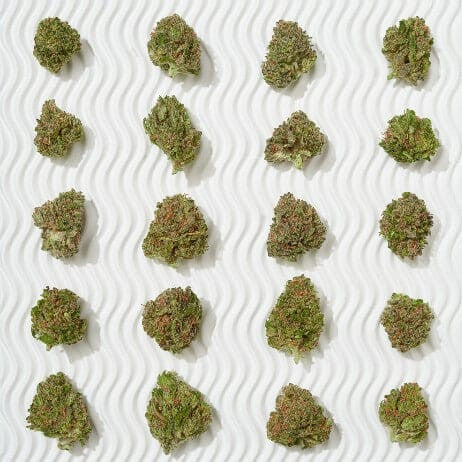 1 Oz Small Delta 8 Buds