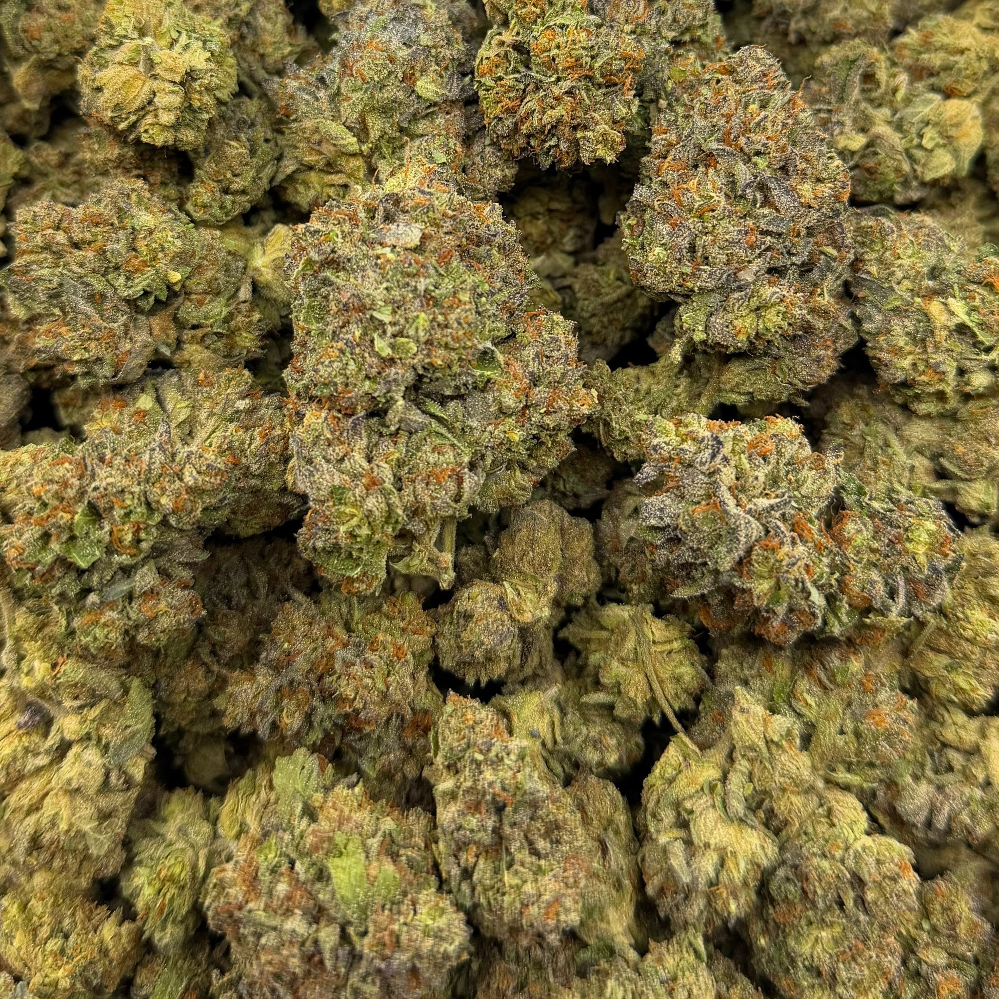 Snatch Burger bulk THCA flower — Plain Jane 1 lb