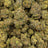 Snatch Burger bulk THCA flower — Plain Jane 1 lb