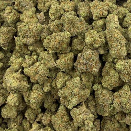 Snatch Burger bulk THCA flower — Plain Jane 1 lb