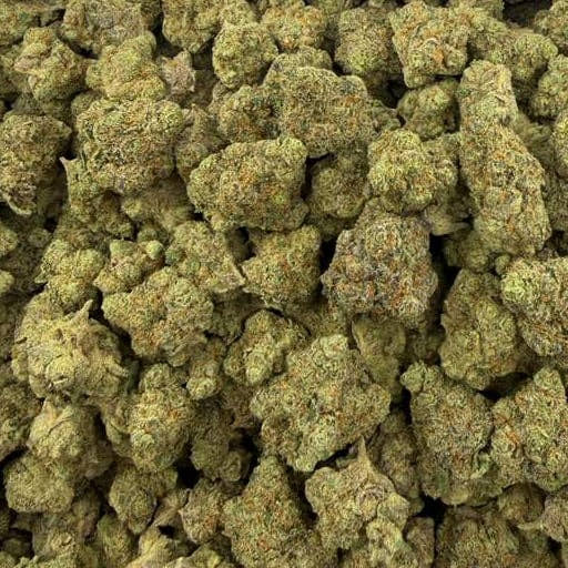 Snatch Burger bulk THCA flower — Plain Jane 1 lb