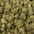 Snatch Burger bulk THCA flower — Plain Jane 1 lb