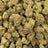 Snatch Burger bulk THCA flower — Plain Jane 1 lb