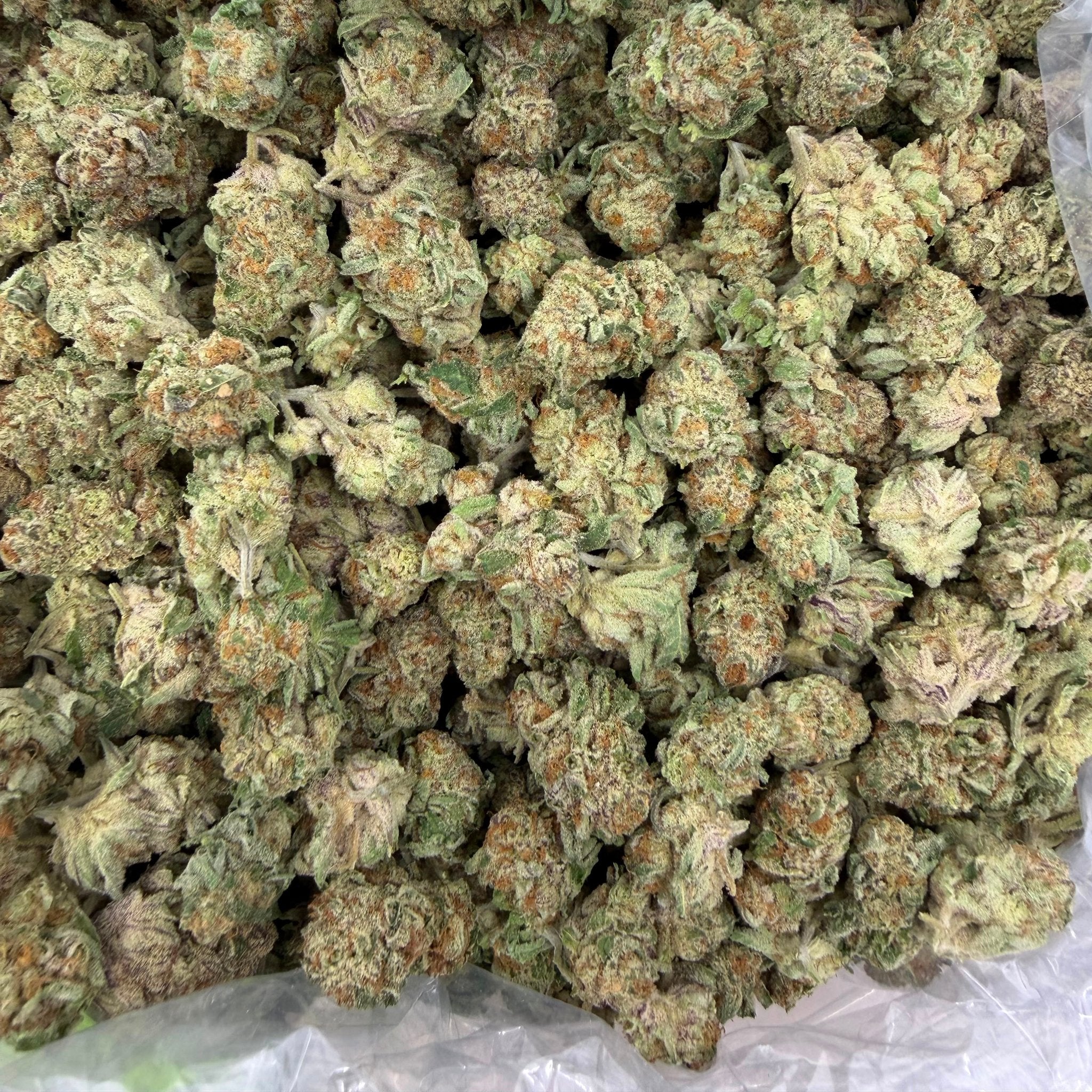 Snow Purple Punch bulk THCA flower — Plain Jane 1 lb