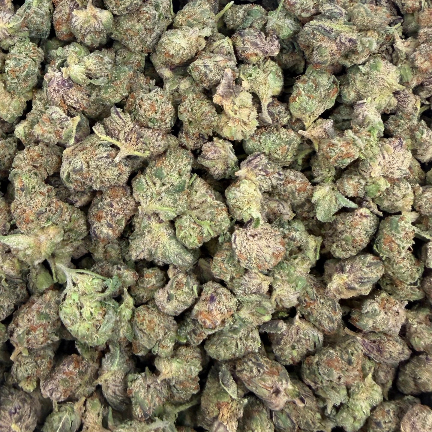 Snow Purple Punch bulk THCA flower — Plain Jane 1 lb
