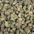 Snow Purple Punch bulk THCA flower — Plain Jane 1 lb
