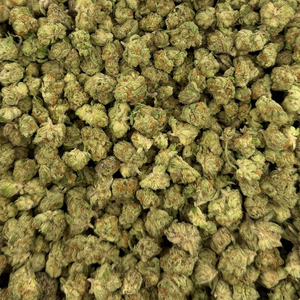 Snow Purple Punch