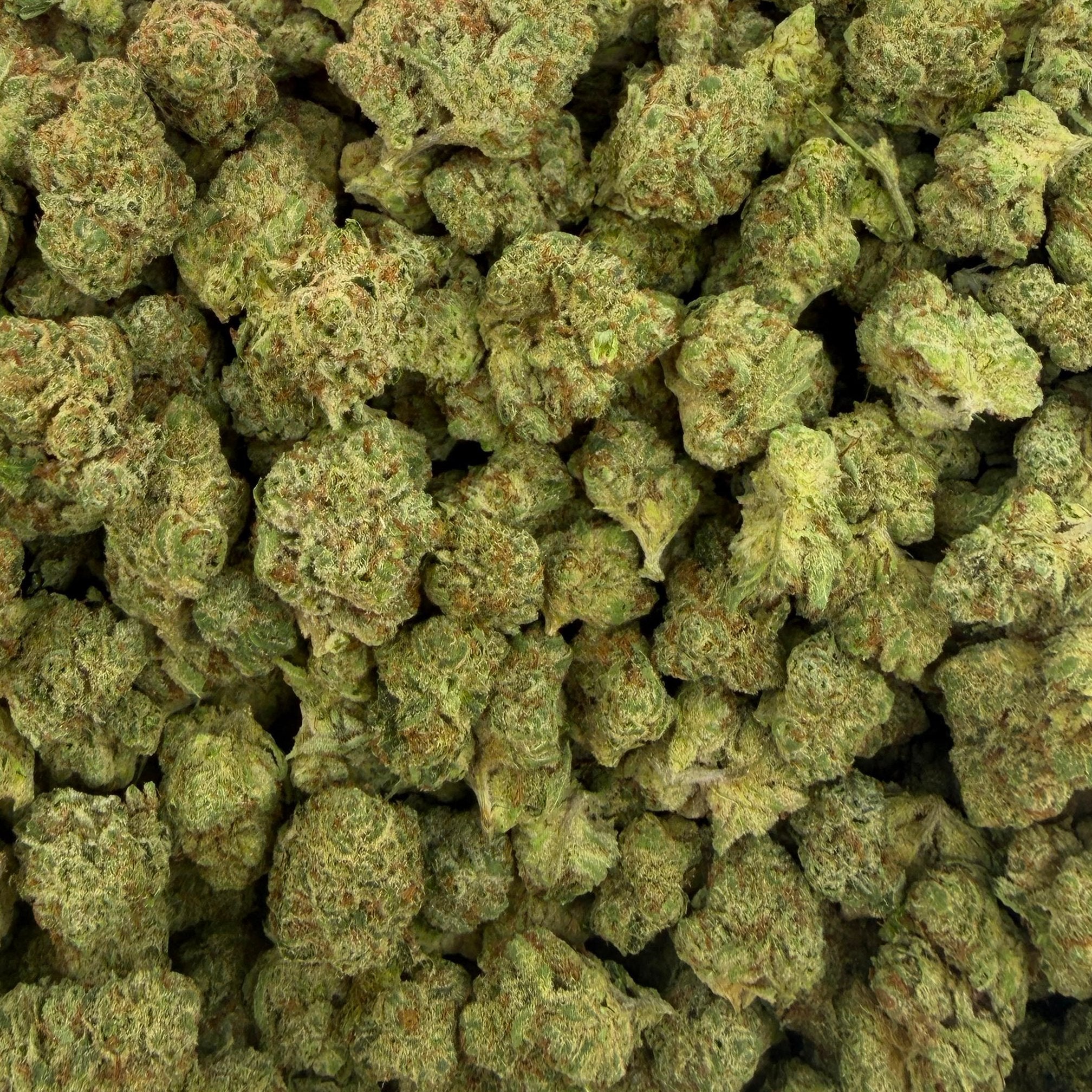 Son Of Mac bulk THCA flower — Plain Jane 1 lb