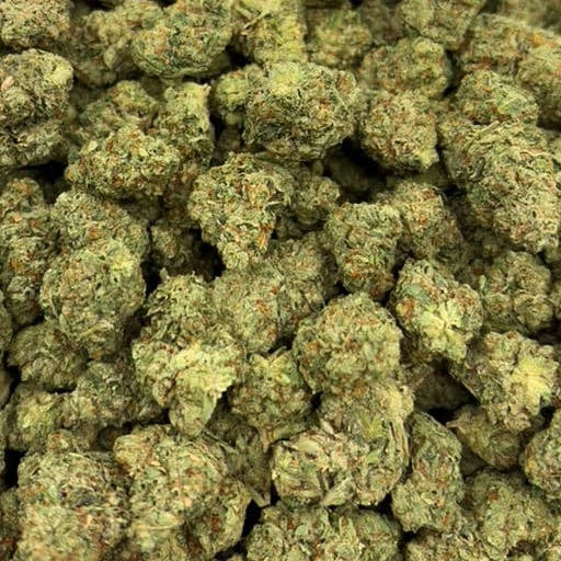 Son Of Mac bulk THCA flower — Plain Jane 1 lb