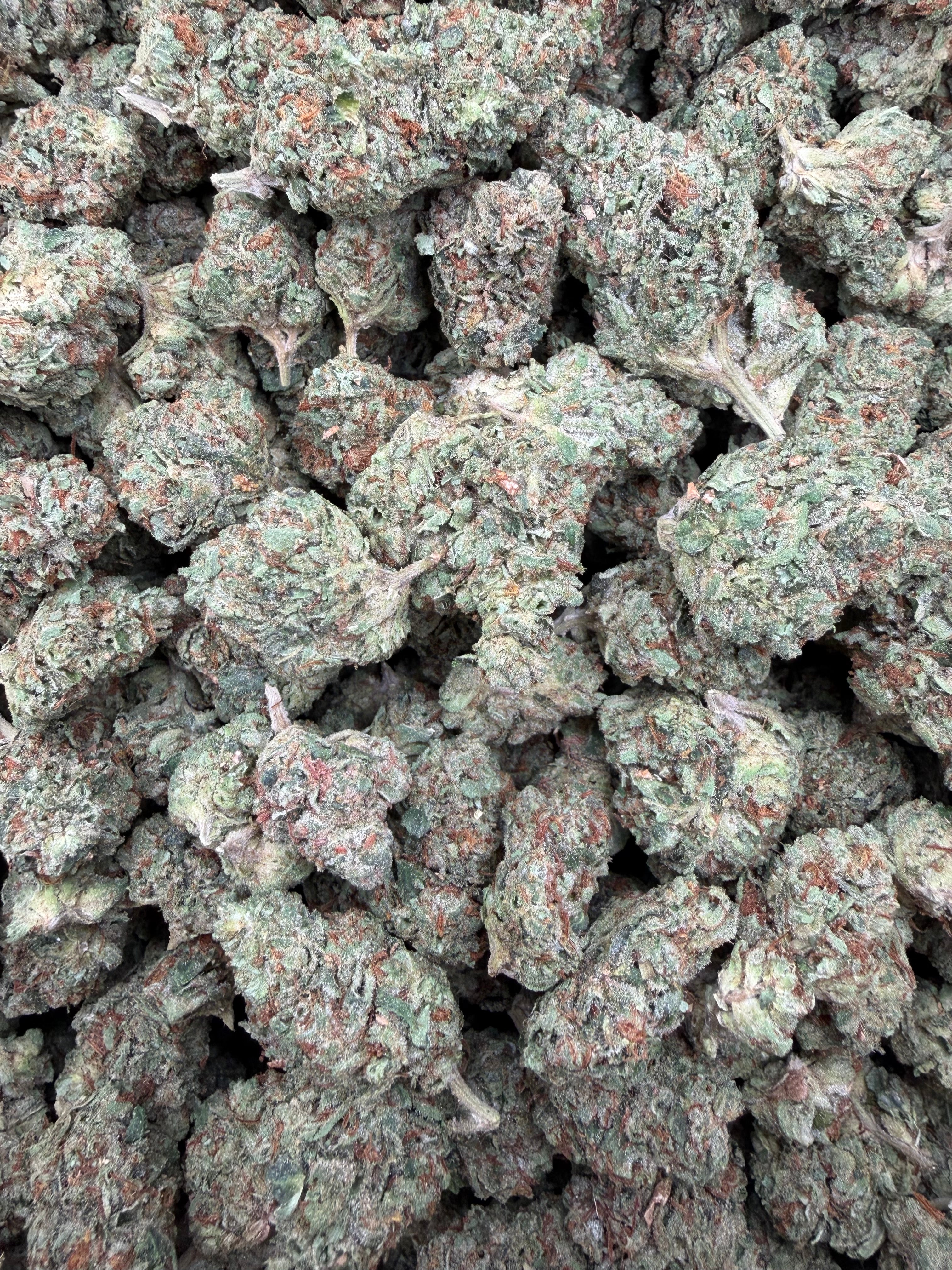 Son of Mac full-size buds — authentic batch photograph