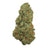 Son of Mac full-size THCA flower — authentic product photograph