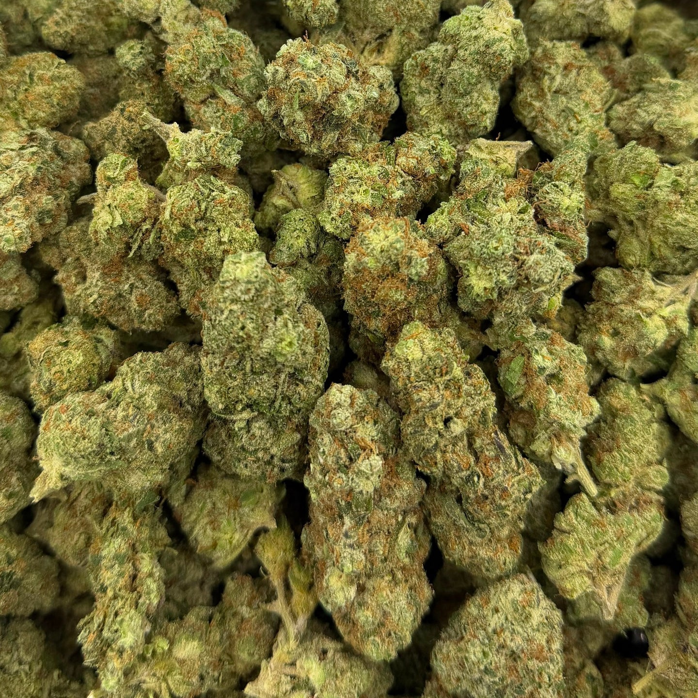 Sour Breath bulk THCA flower — Plain Jane 1 lb
