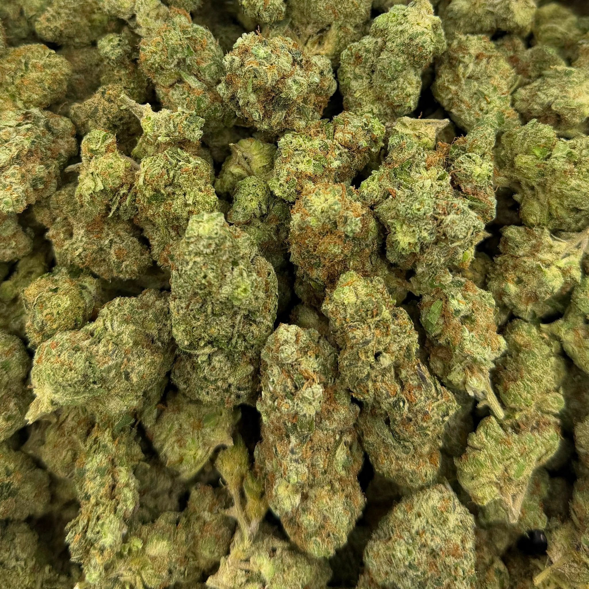 Sour Breath bulk THCA flower — Plain Jane 1 lb
