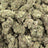 Sour Breath bulk THCA flower — Plain Jane 1 lb