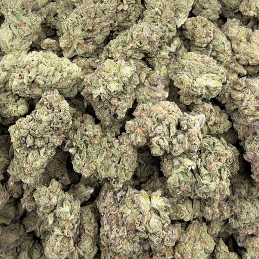 Sour Breath (Light-Assisted) – Bulk THCA Flower 1 lb