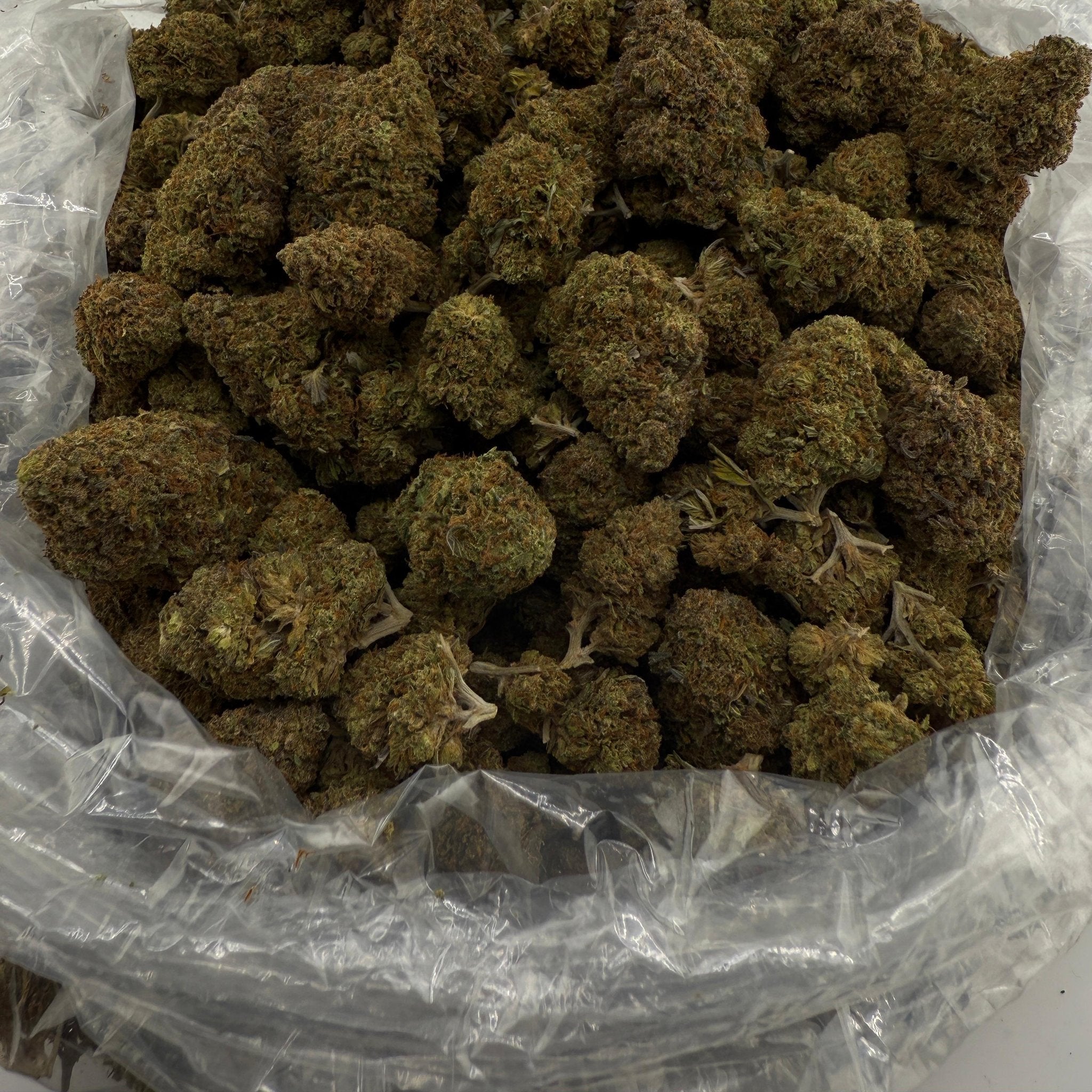 Sour Cheese bulk THCA flower — Plain Jane 1 lb