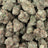 Sour Cherry Sherb bulk THCA flower — Plain Jane 1 lb