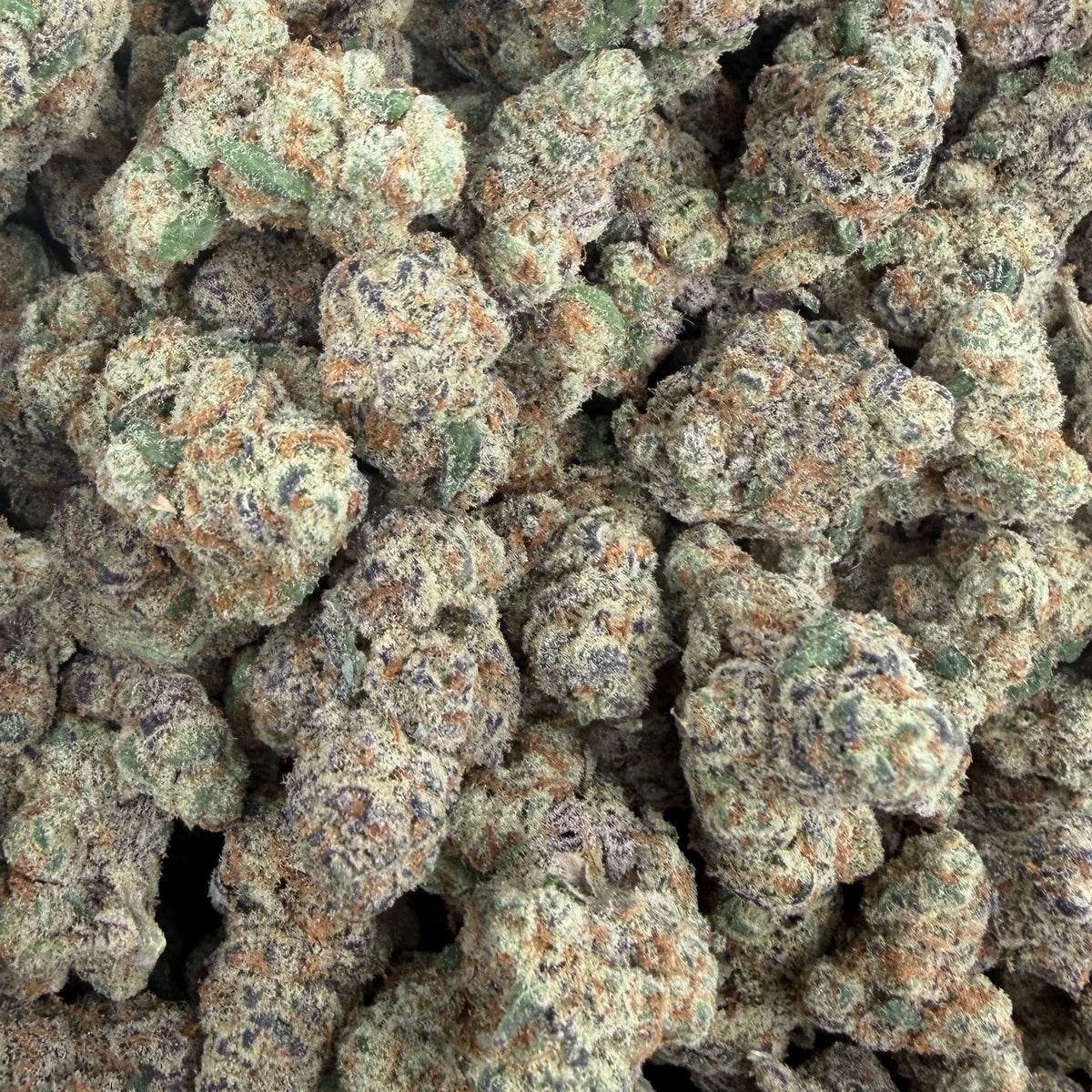Sour Cherry Sherbert bulk THCA flower — Plain Jane 1 lb