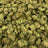 Sour Chiesel bulk THCA flower — Plain Jane 1 lb