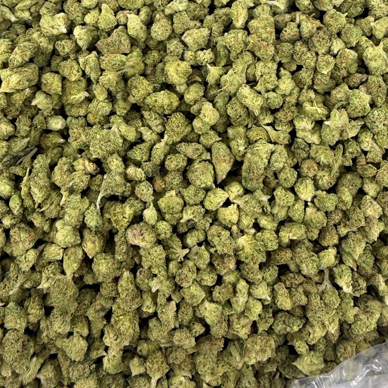 Sour Chiesel M bulk THCA flower — Plain Jane 1 lb