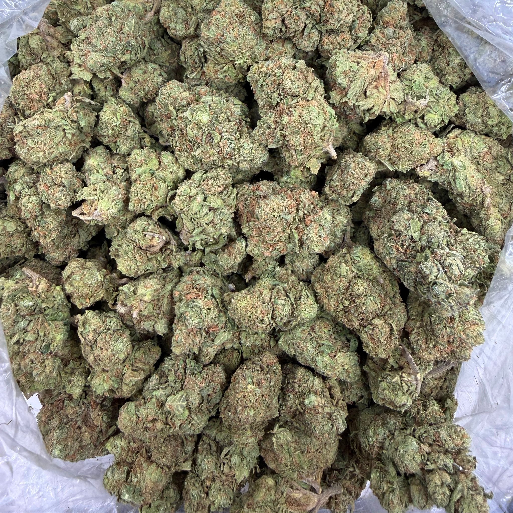 Sour Diesel bulk THCA flower — Plain Jane 1 lb
