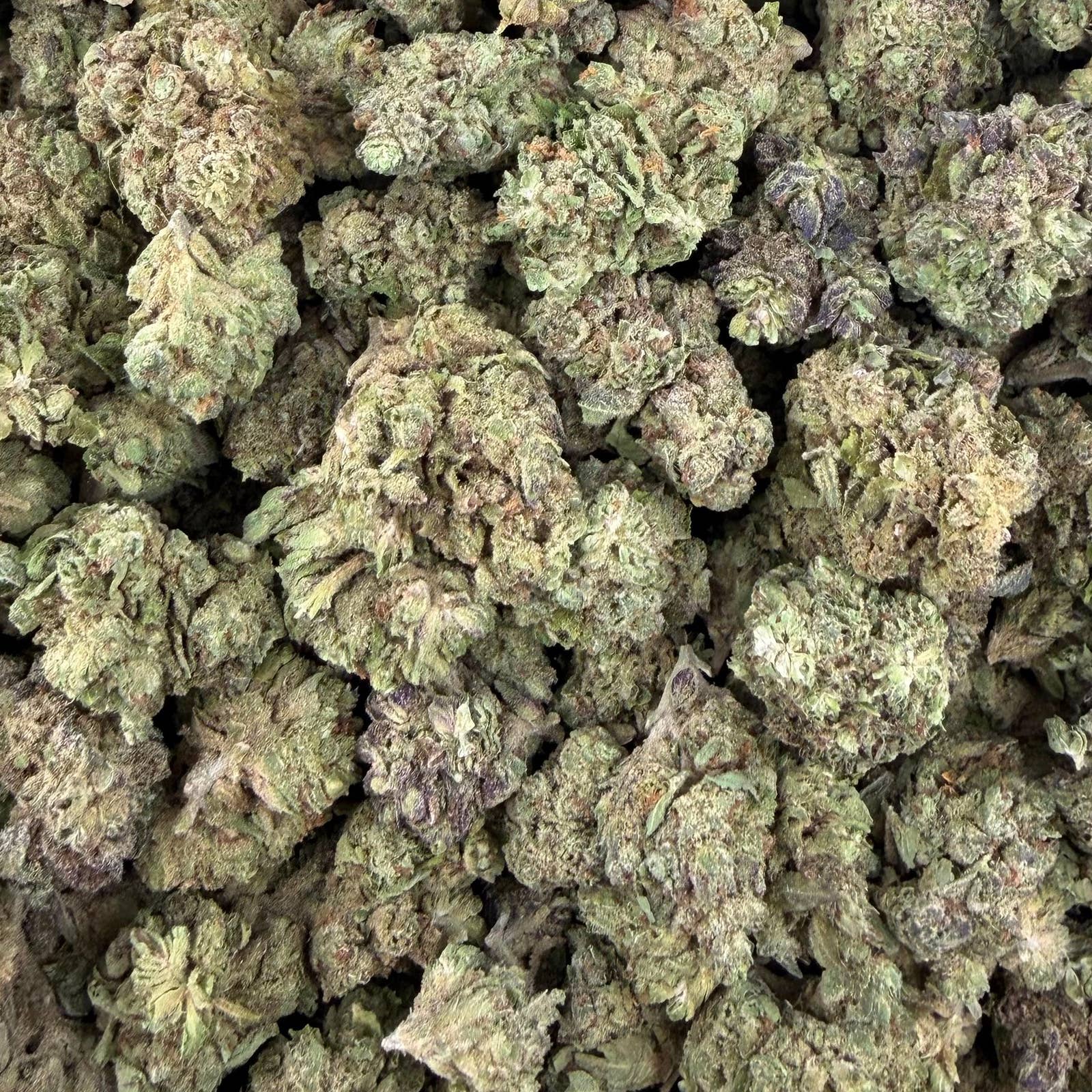 Sour Joker bulk THCA flower — Plain Jane 1 lb