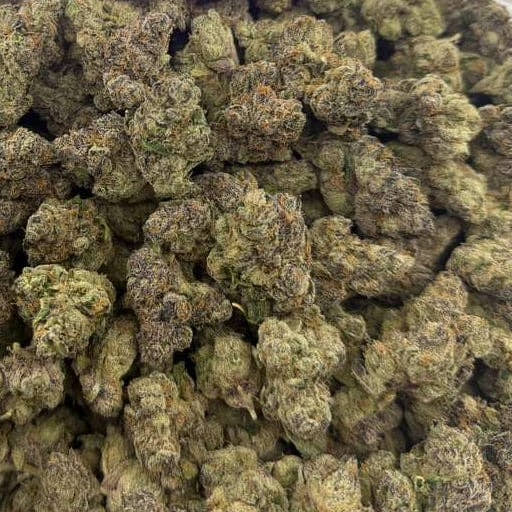 Sour Tangie bulk THCA flower — Plain Jane 1 lb