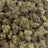 Sour Tangie bulk THCA flower — Plain Jane 1 lb