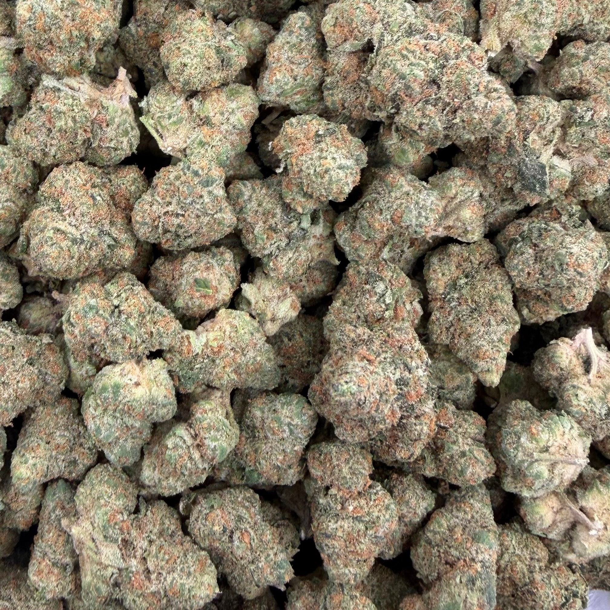 Sour Tangie bulk THCA flower — Plain Jane 1 lb