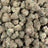 Sour Tangie bulk THCA flower — Plain Jane 1 lb