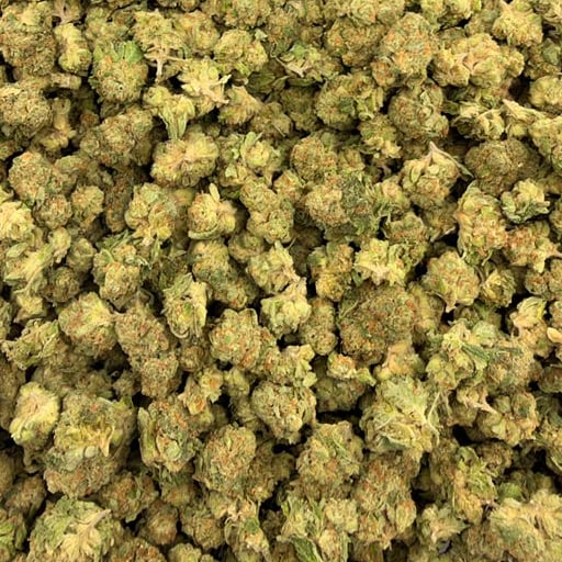 Sour Tangie