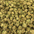 Sour Tangie bulk THCA flower — Plain Jane 1 lb
