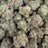 Sour Tangie bulk THCA flower — Plain Jane 1 lb