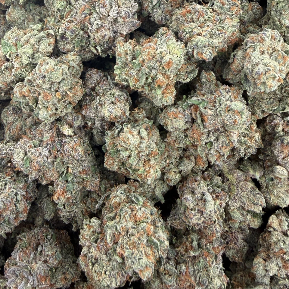 Sour Tangie (Indoor) – Bulk THCA Flower 1 lb