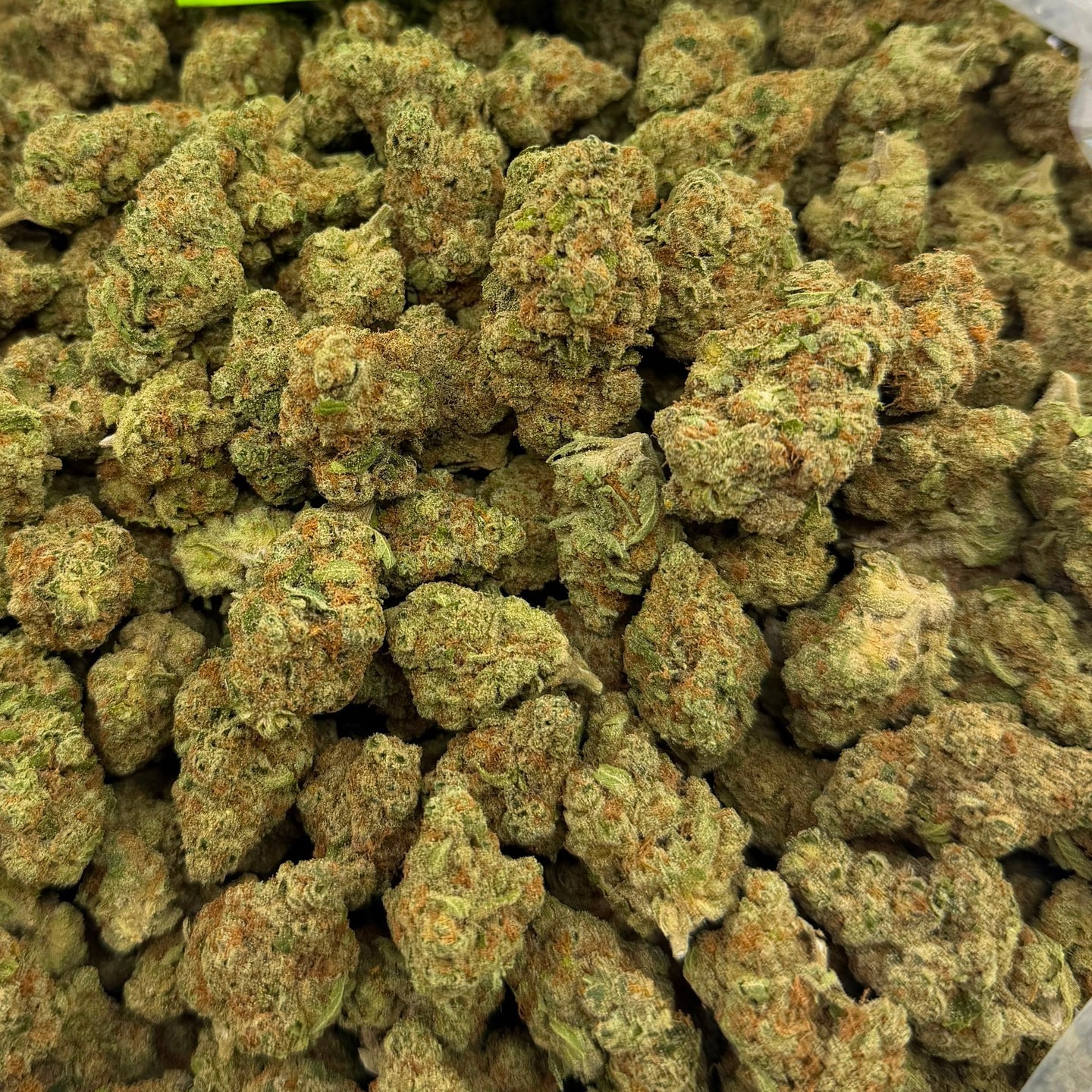 Sour Warheads bulk THCA flower — Plain Jane 1 lb