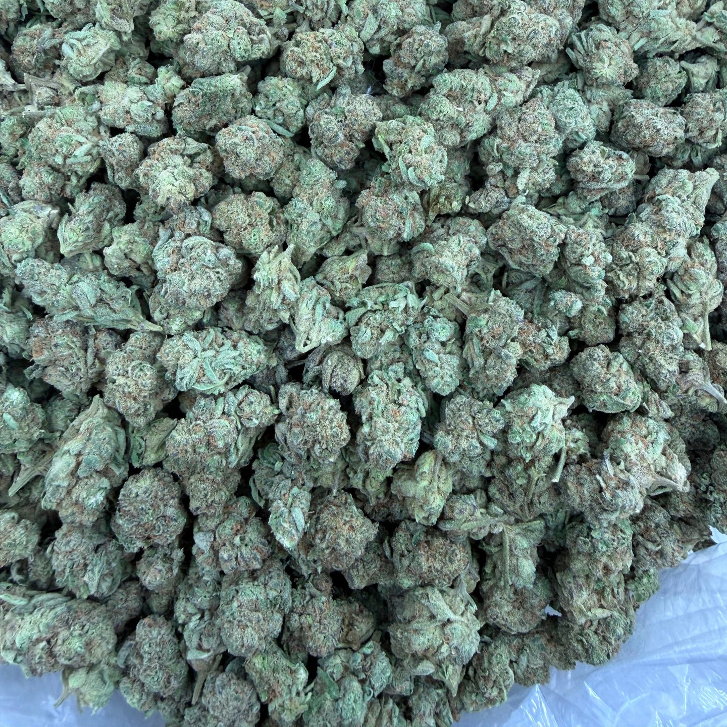 Space Cake bulk THCA flower — Plain Jane 1 lb