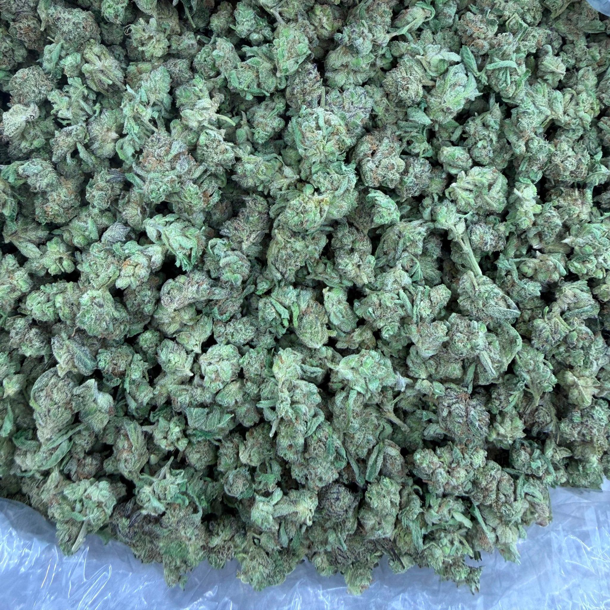 Space Cake bulk THCA flower — Plain Jane 1 lb