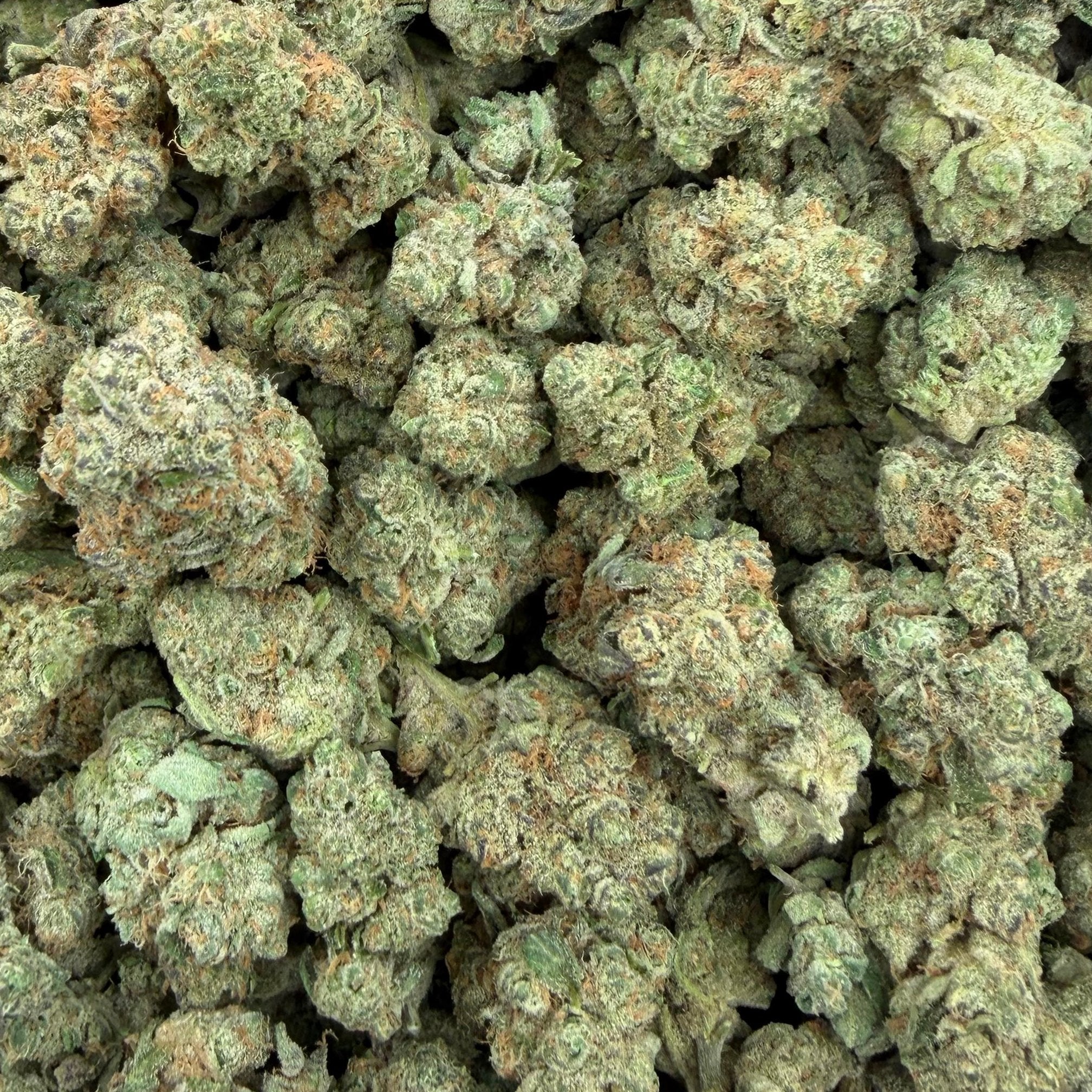 Space Cake bulk THCA flower — Plain Jane 1 lb