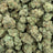 Space Cake bulk THCA flower — Plain Jane 1 lb