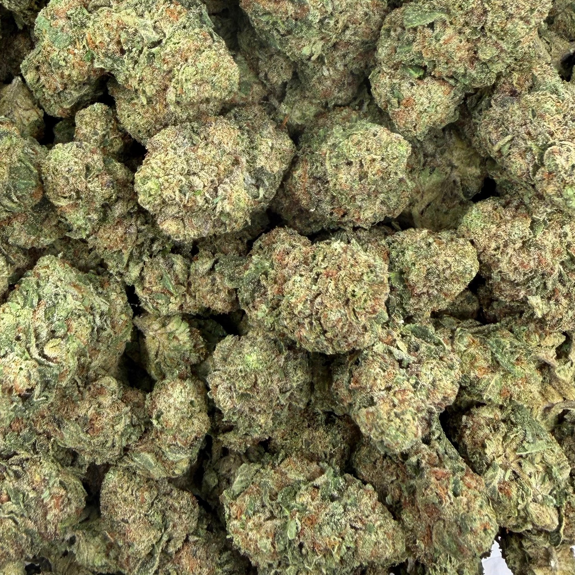 Space Rocks bulk THCA flower — Plain Jane 1 lb
