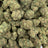 Space Rocks bulk THCA flower — Plain Jane 1 lb