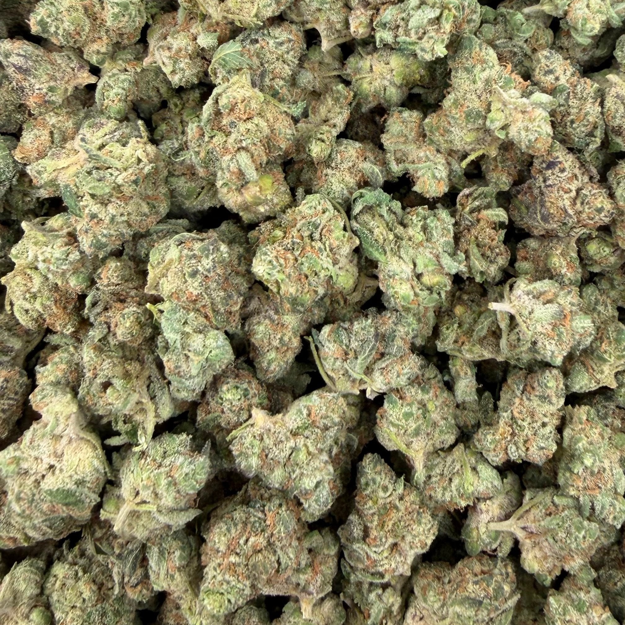 Space Rocks bulk THCA flower — Plain Jane 1 lb
